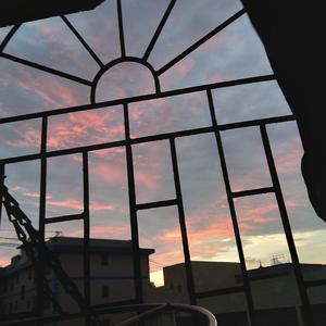 日本老师下面毛毛茸
