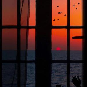 日本老师下面毛毛茸
