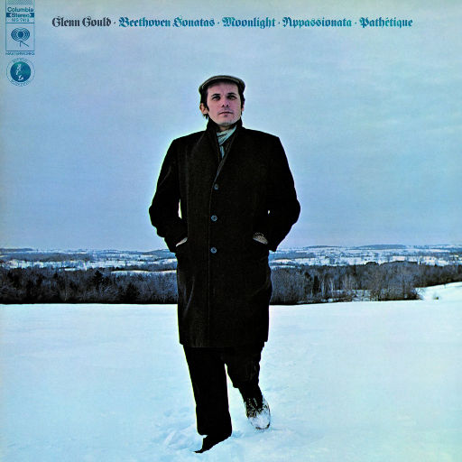 日本老师下面毛毛茸
